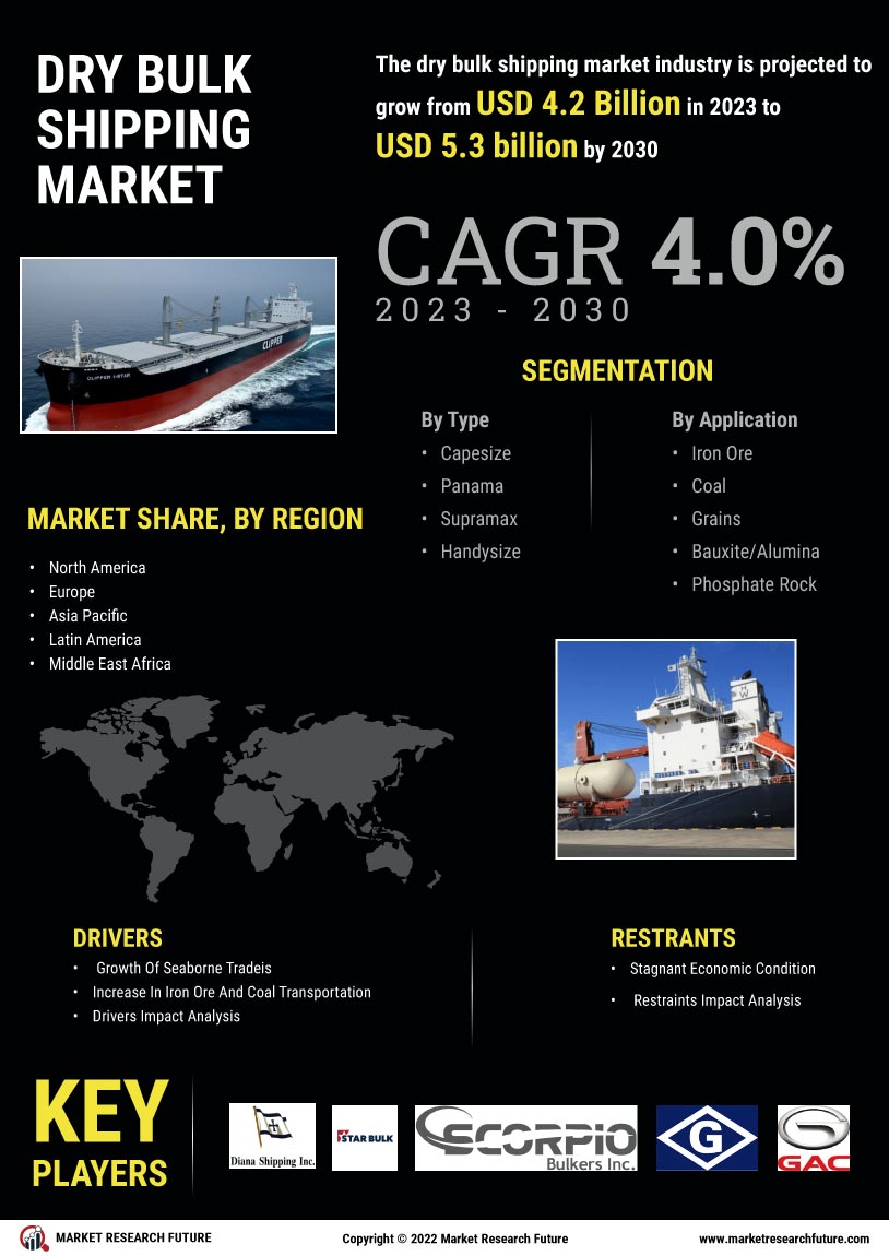 Dry Bulk Shipping Market