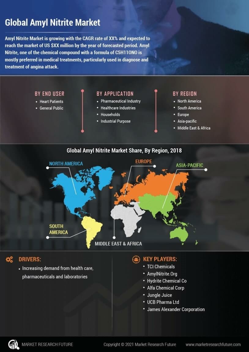 Amyl Nitrite Market Research Report - Forecast to 2030 Infographic