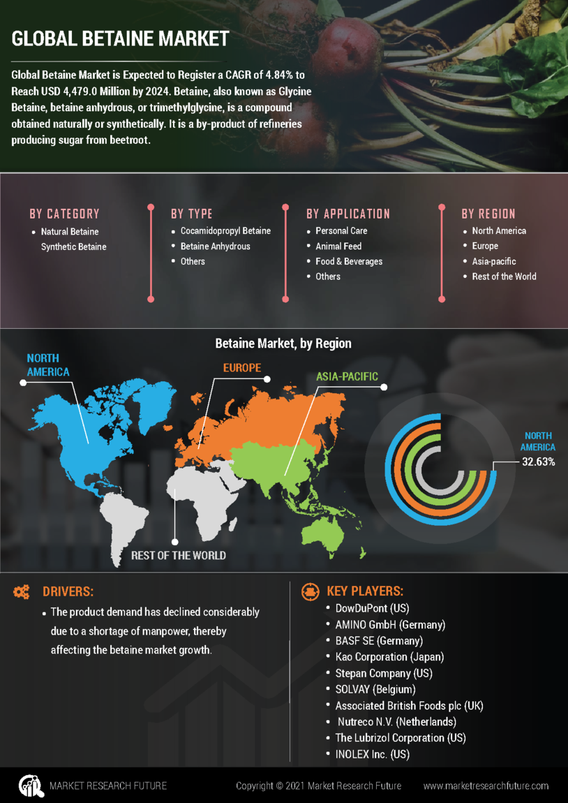 Betaine Market