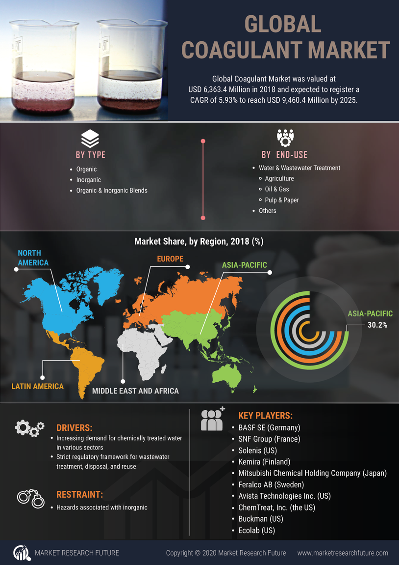 Coagulant Market