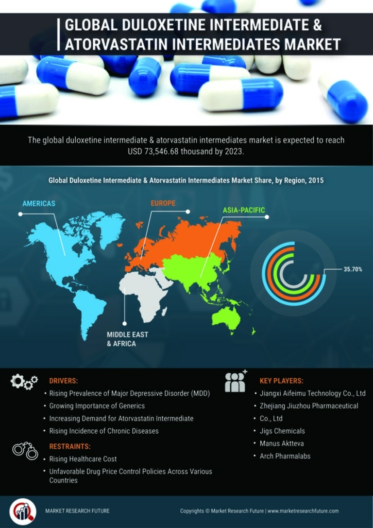 Duloxetine Intermediate and Atorvastatin Intermediates Market Research Report - Forecast till 2035 Infographic