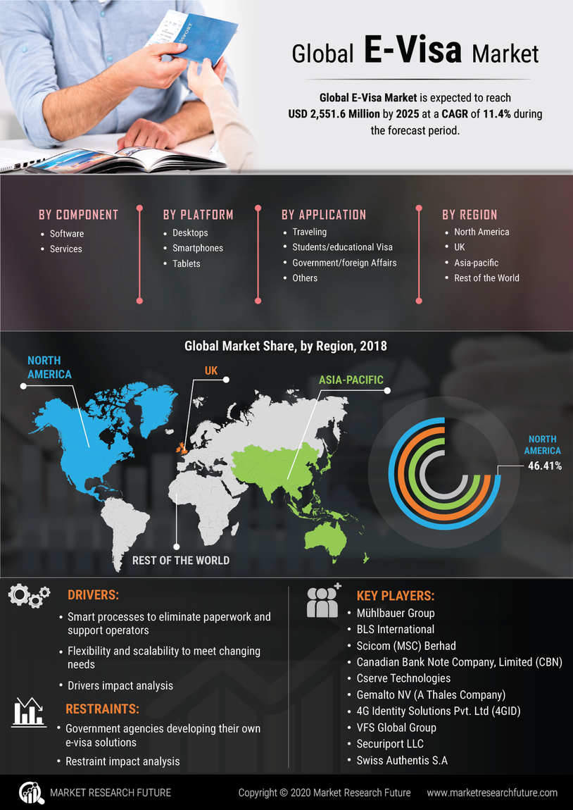 E Visa Market