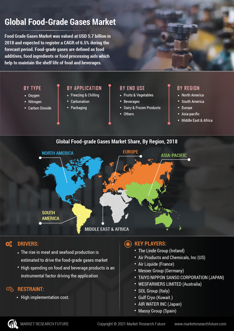 Food Grade Gases Market