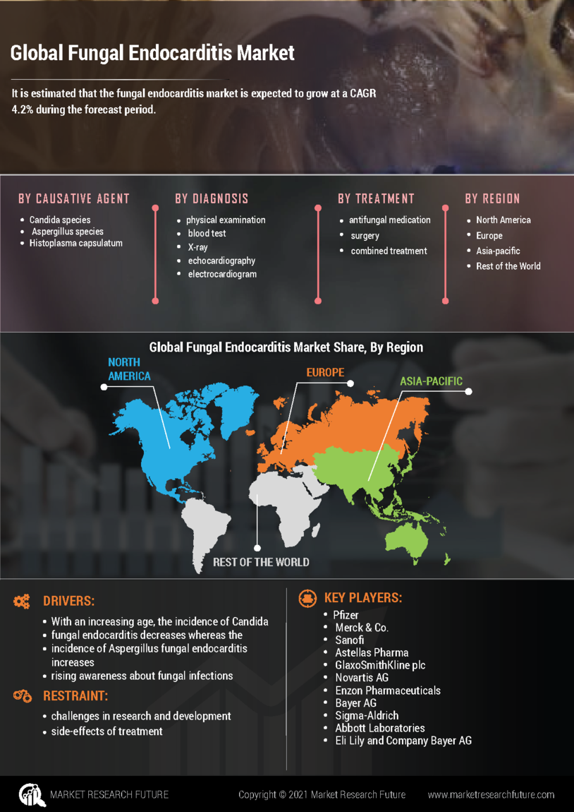 Fungal Endocarditis Market Research Report- Global forecast till 2032 Infographic