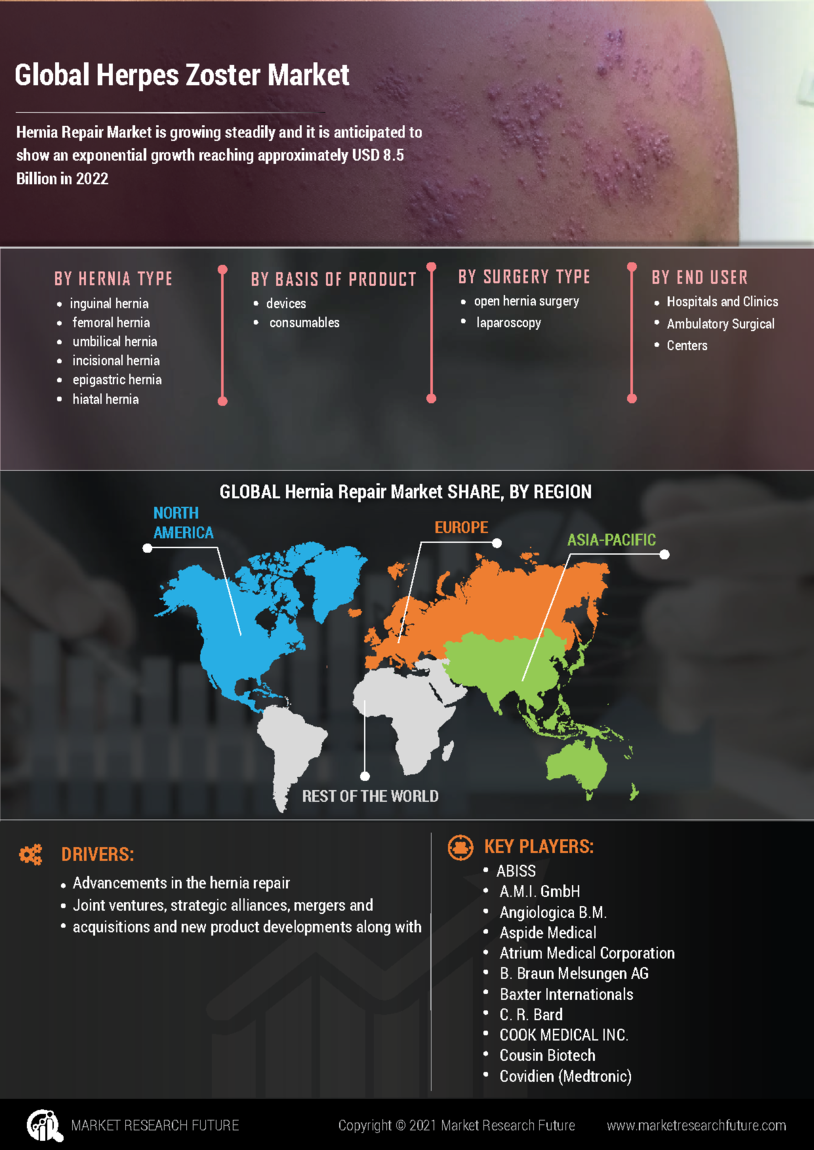 Herpes Zoster Market Research Report – Forecast till 2032 Infographic