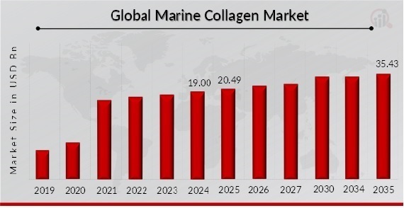 Global Marine Collagen Market Overview