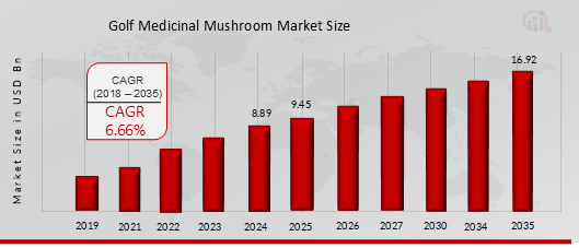 Global Medicinal Mushroom Market Overview