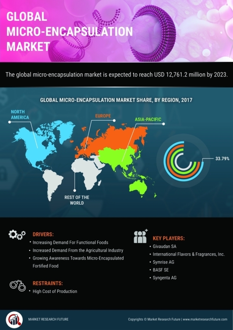 Micro Encapsulation Market