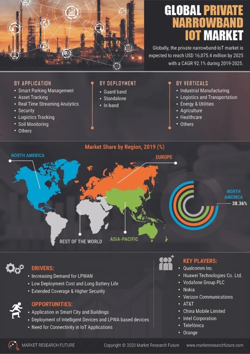 Private Narrowband IoT Market