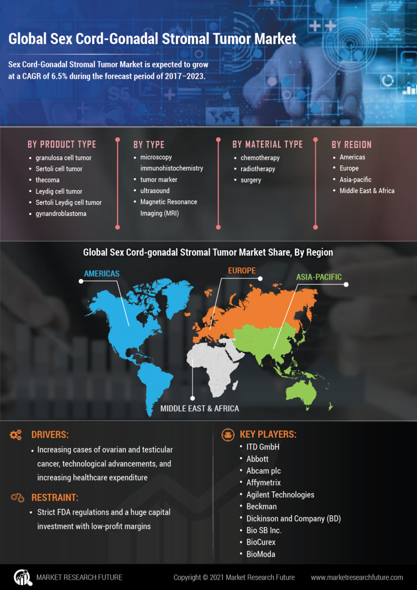 Sex Cord-Gonadal Stromal Tumor Market Research Report – Forecast to 2032 Infographic