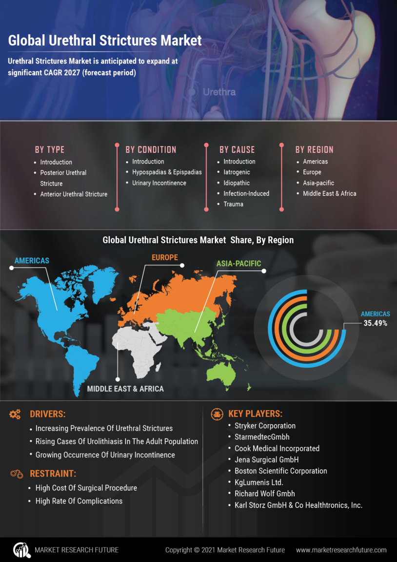 Urethral Stricture Market Research Report – Forecast to 2032 Infographic
