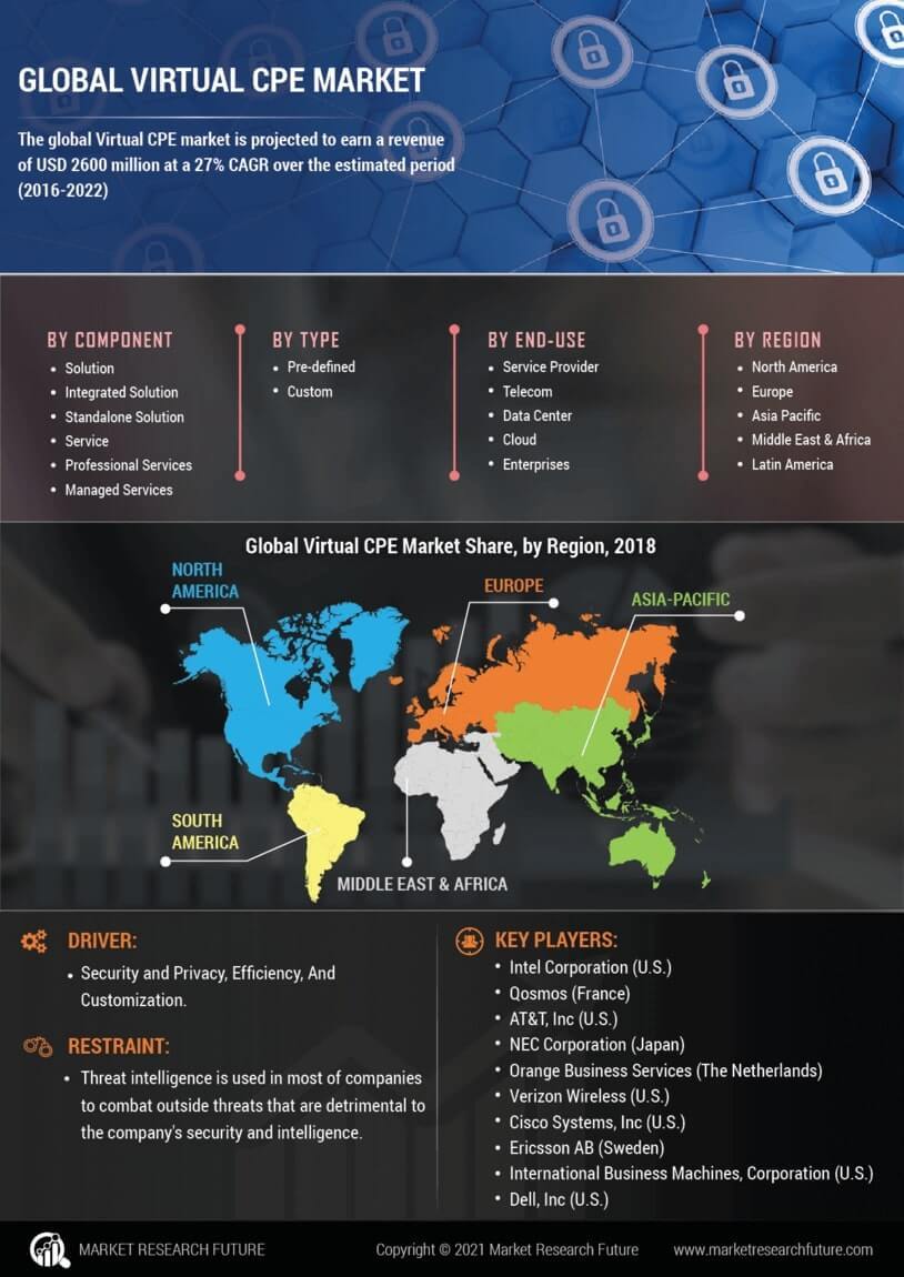 Virtual CPE Market