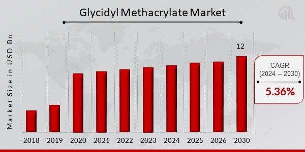 Glycidyl Methacrylate Market