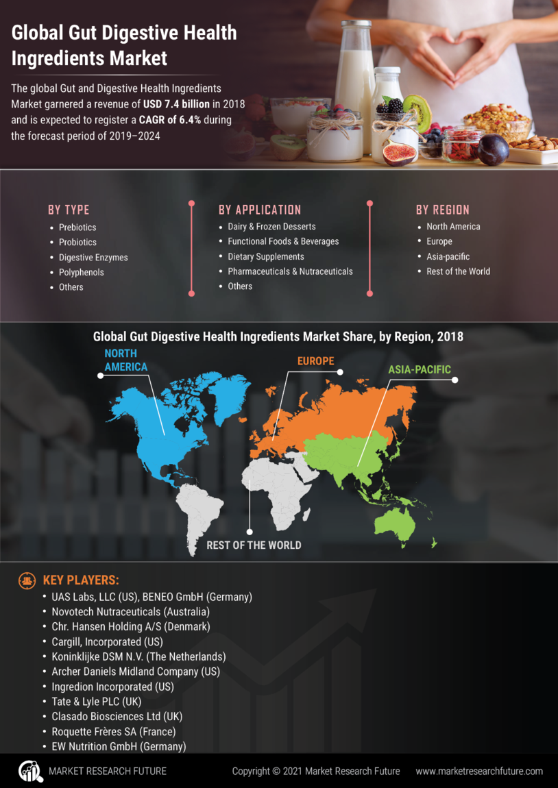 Gut Digestive Health Ingredients Market