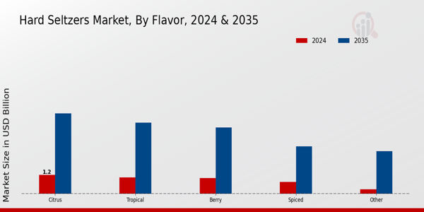 Hard Seltzers Market Flavor Insights