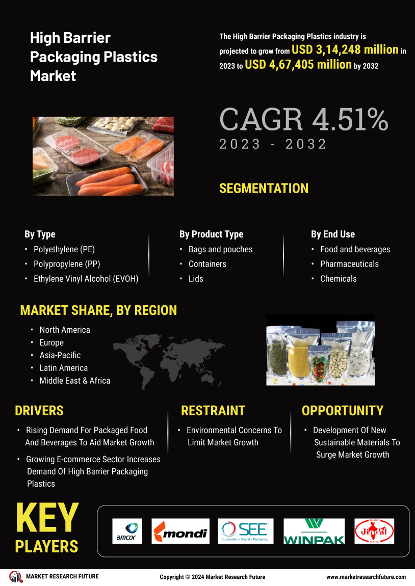 High Barrier Packaging Plastics Market Research Report — Global Forecast till 2034 Infographic