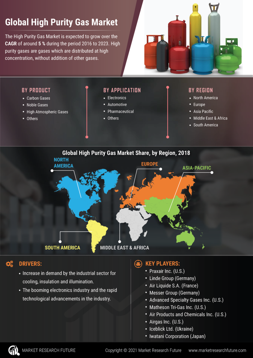 High Purity Gas Market Research Report - Forecast to 2032 Infographic