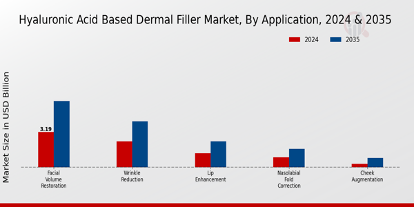 Hyaluronic Acid Based Dermal Filler Market Segment