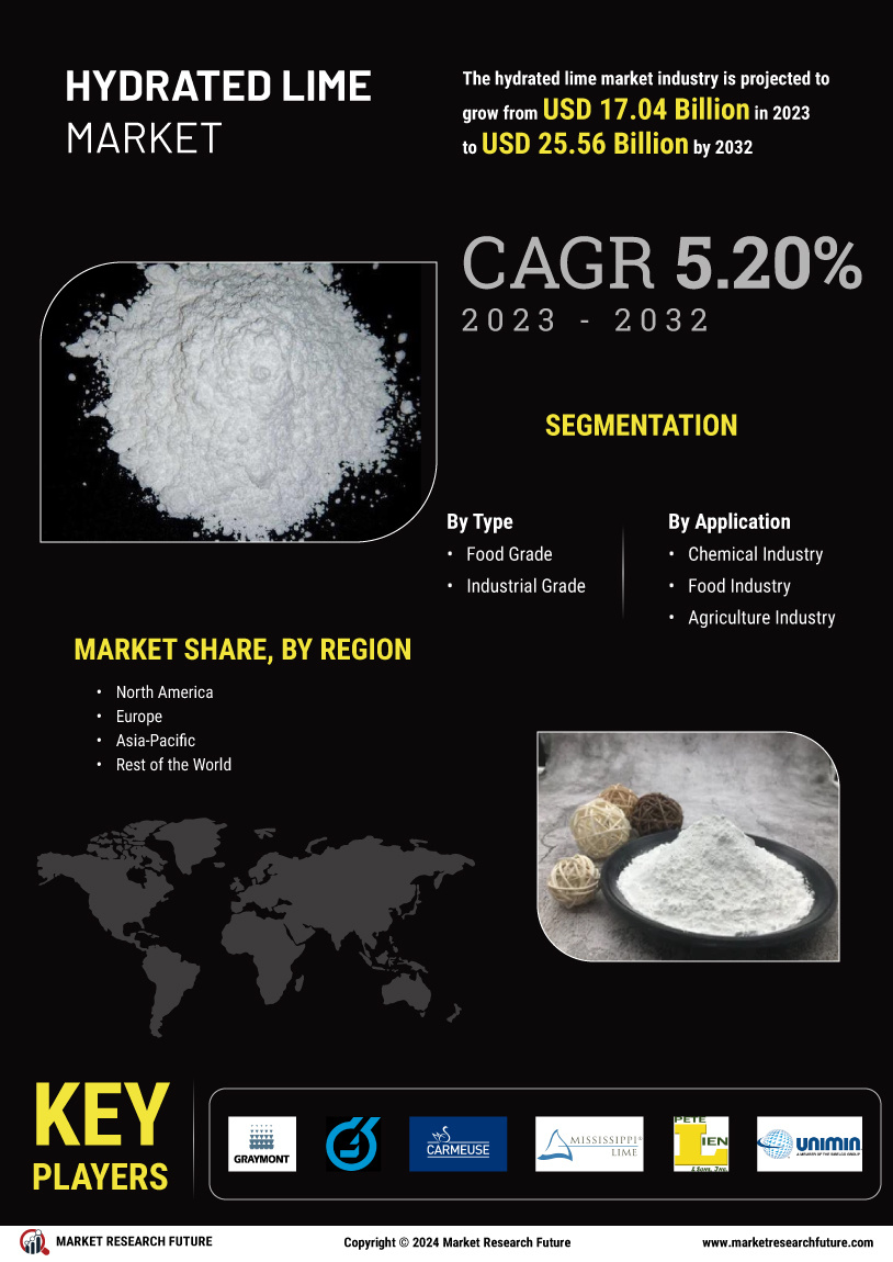 Hydrated Lime Market Research Report - Global Forecast by 2034 Infographic