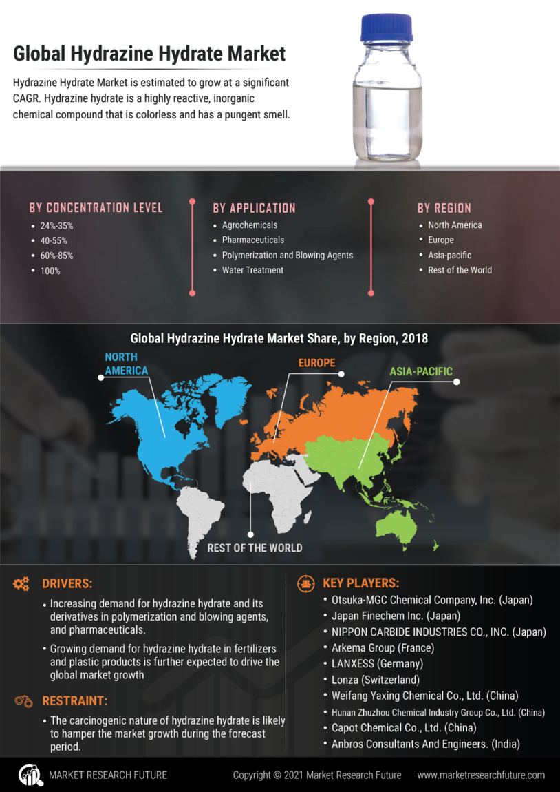 Hydrazine Hydrate Market Research Report-Forecast Till 2032 Infographic