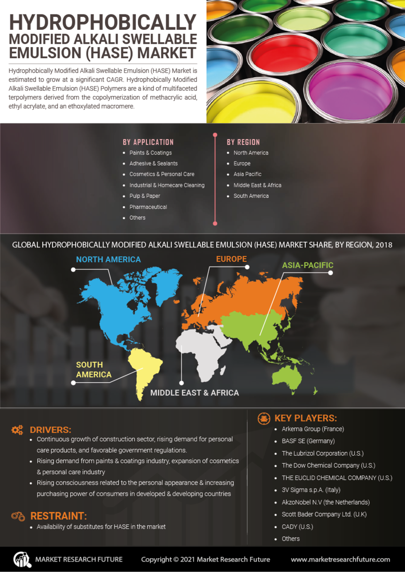 Hydrophobically Modified Alkali Swellable Emulsion (HASE) Market Research Report- Forecast to 2032 Infographic