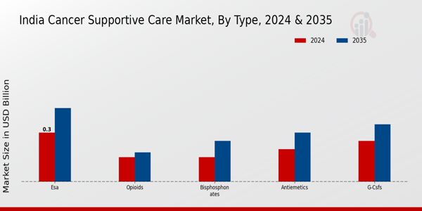 India Cancer Supportive Care Market Segment