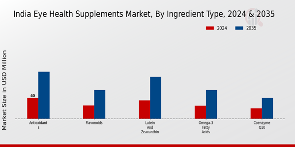 India Eye Health Supplements Market Segment