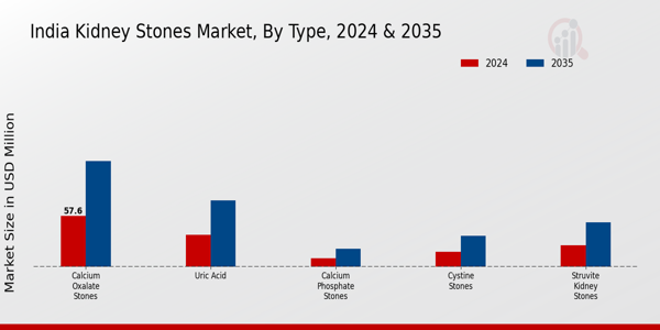 India Kidney Stones Market Segment