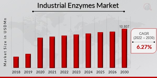 Industrial Enzymes Market Overview