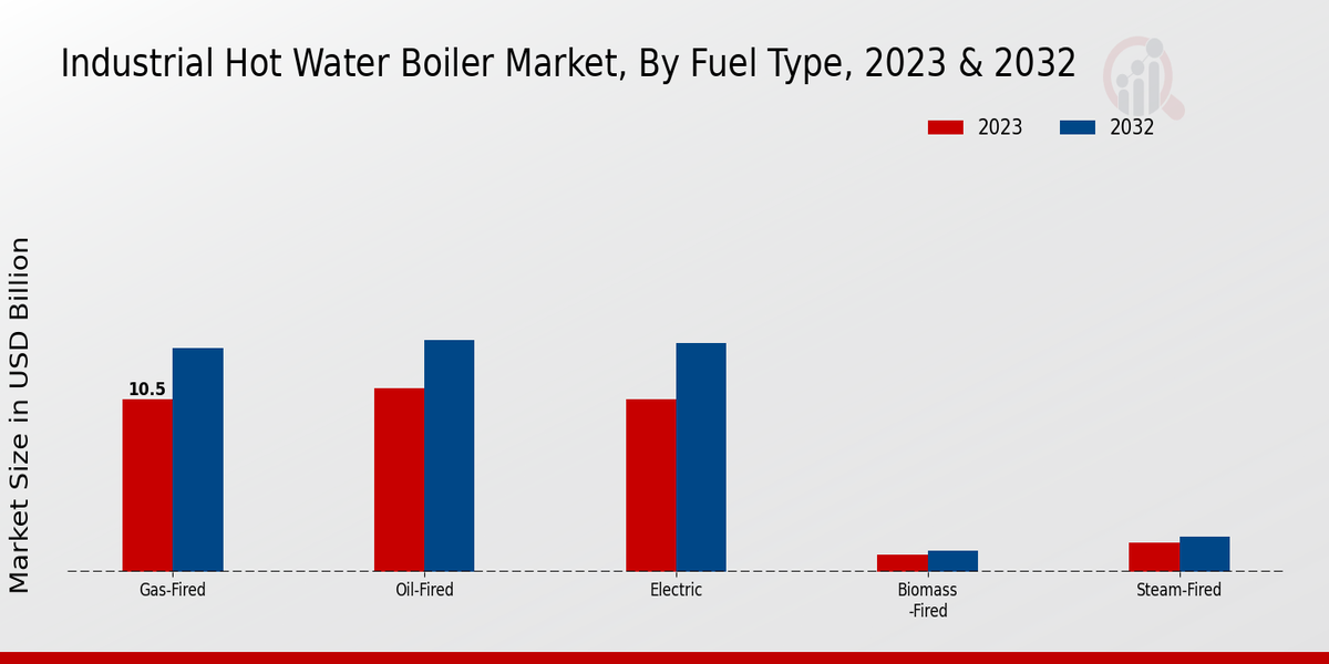 Industrial Hot Water Boiler Market Fuel Type Insights