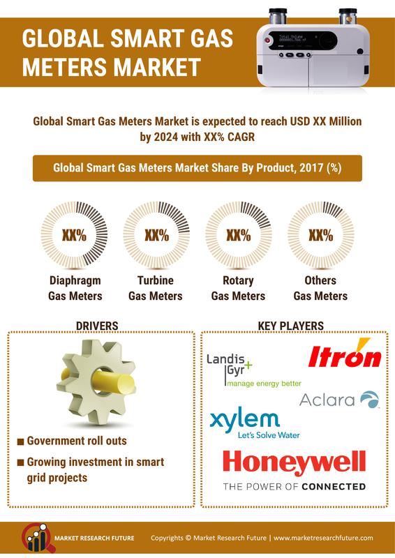 Smart Gas Meter Market