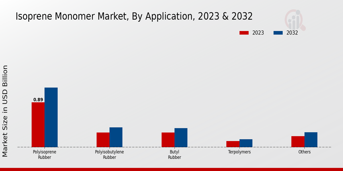 Isoprene Monomer Market Application Insights