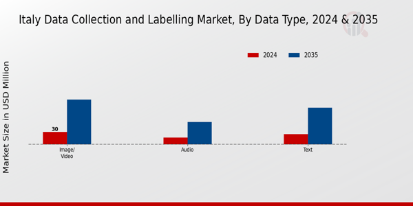 Italy Data Collection And Labelling Market Segment