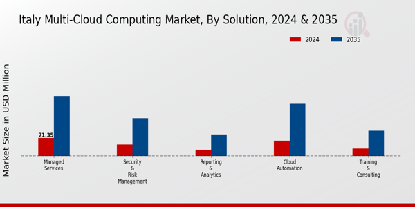 Italy Multi Cloud Computing Market Segment