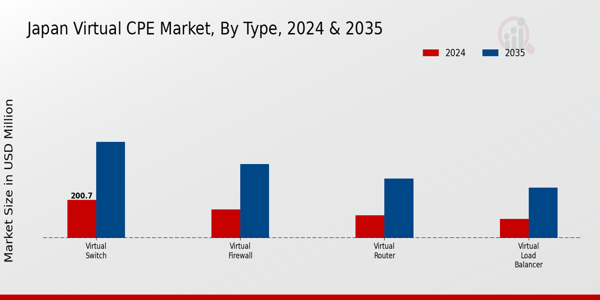 Virtual CPE Market Type Insights