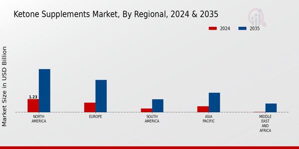 Ketone Supplements Market Regional Insights