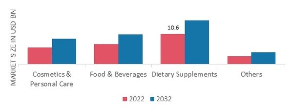 Ketones Market, by Application, 2022 & 2032