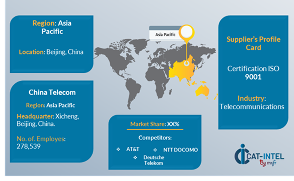 Key Supplier for the Fixed Line Services Market 