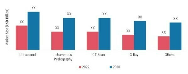 Kidney Stone Market, by Diagnosis, 2022 & 2030