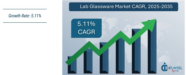 Lab Glassware Market Overview
