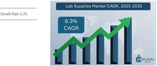Lab Supplies Market Overview