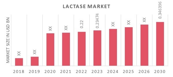 Lactase Market Overview