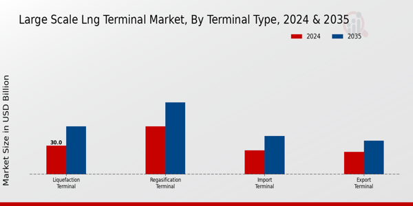 Large-Scale LNG Terminal Market Terminal Type Insights  