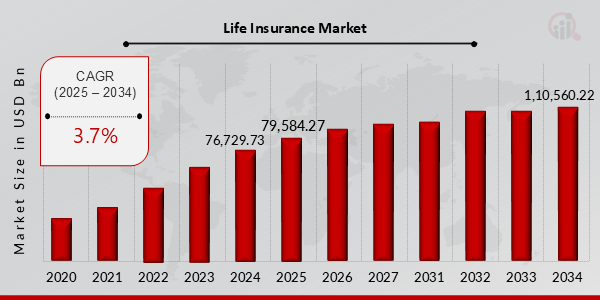 Life Insurance Market Overview