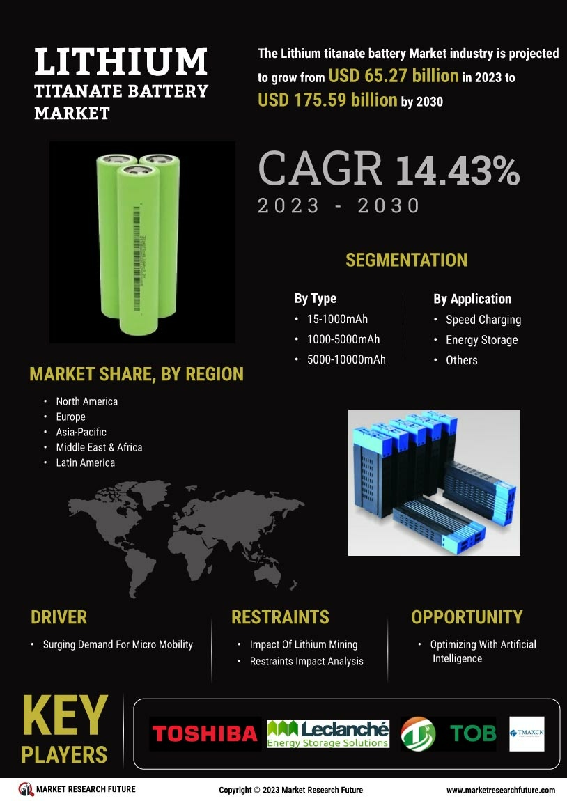 Lithium Titanate Battery Market Research Report—Global Forecast till 2030 Infographic