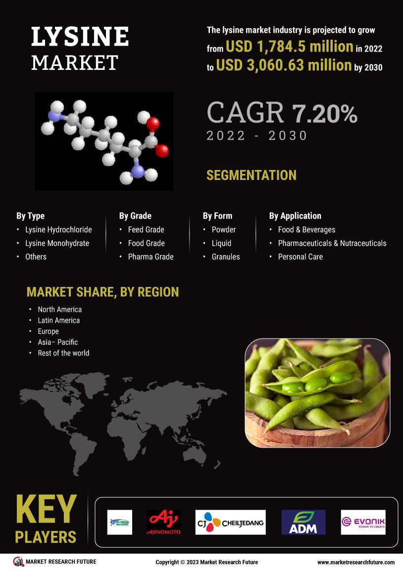 Lysine Market