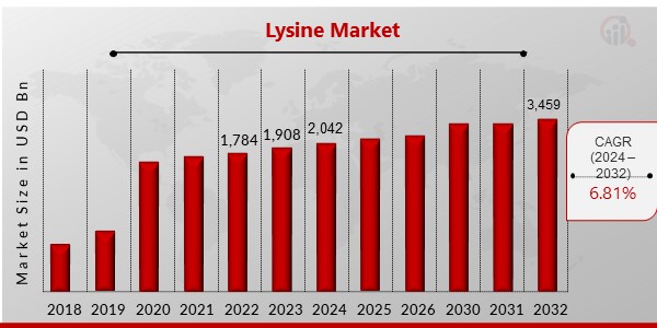 Lysine Market Overview