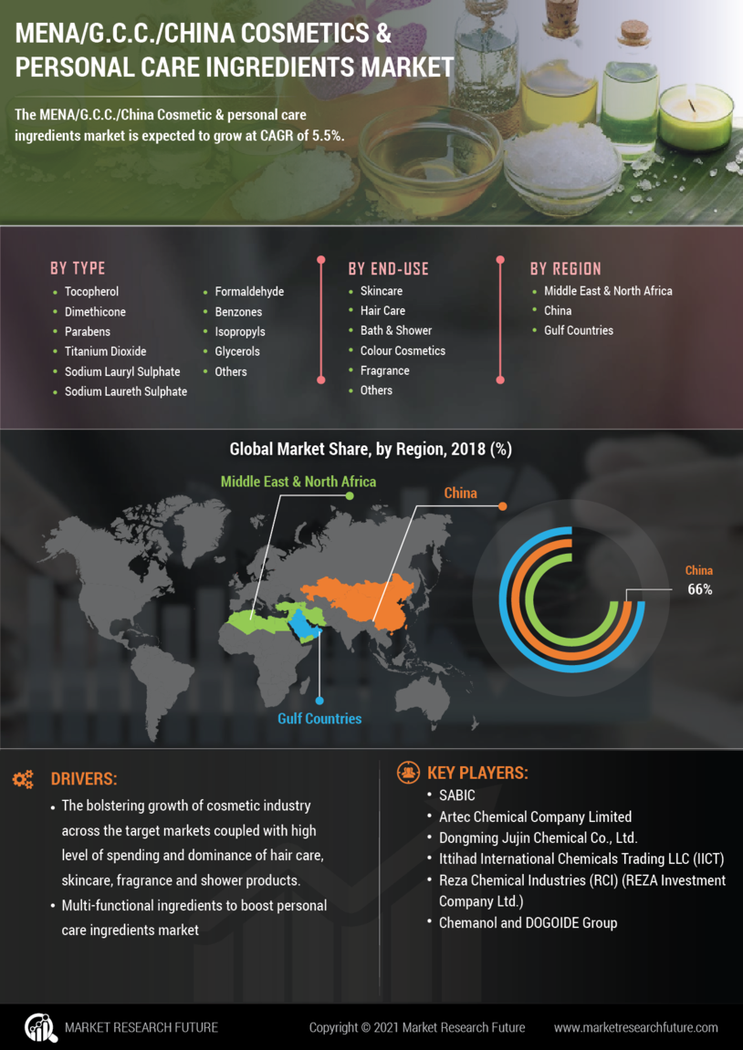 China Cosmetics Personal Care Ingredients Market