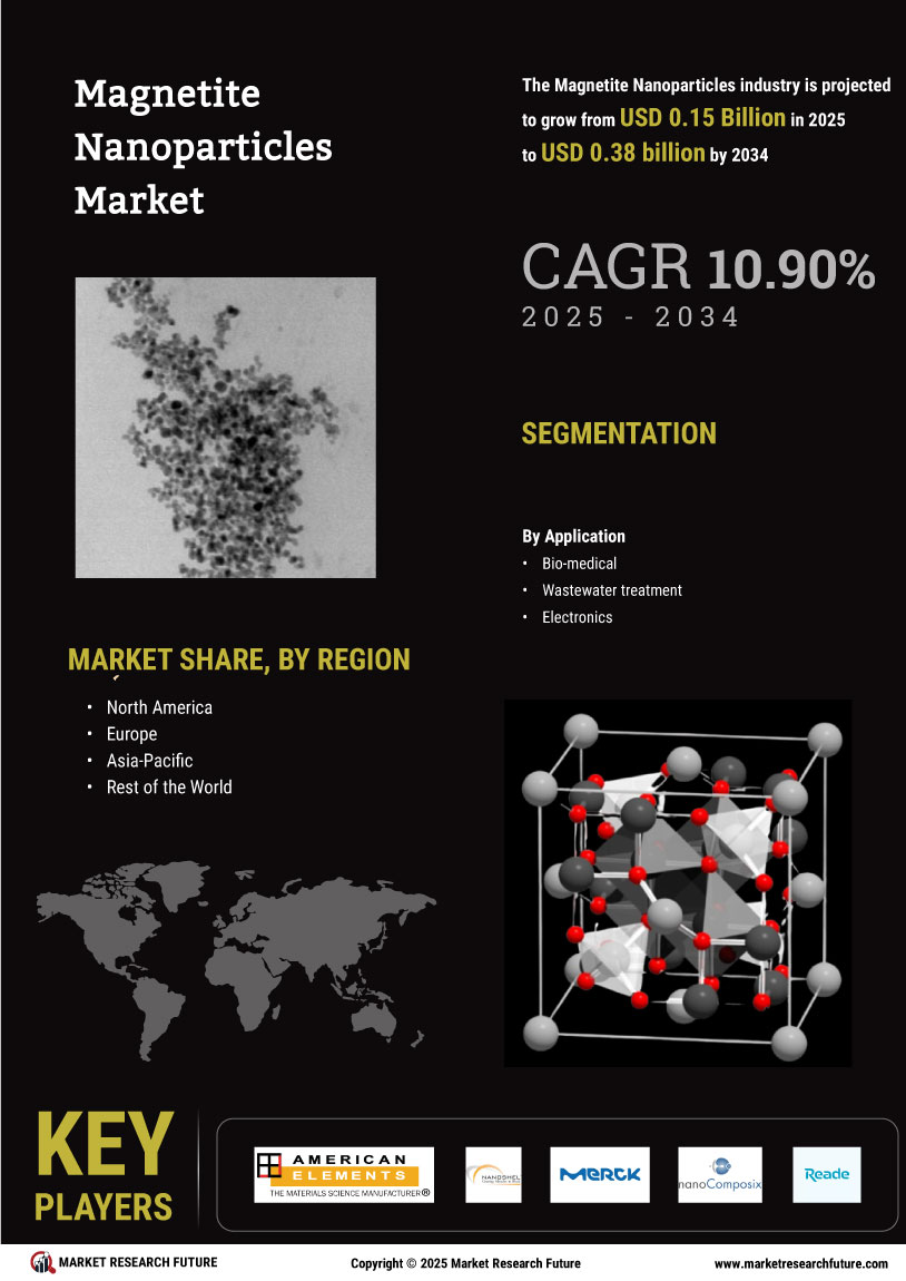 Magnetite Nanoparticles Market