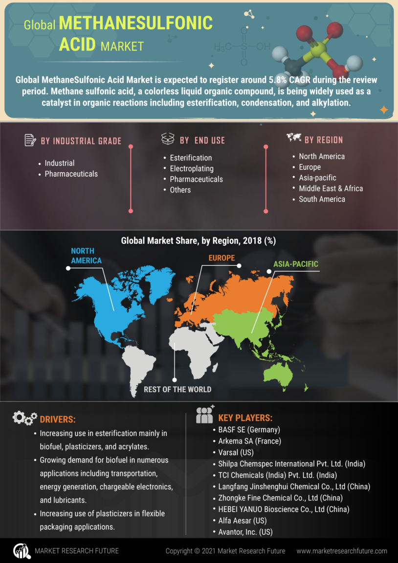 Methane Sulfonic Acid Market